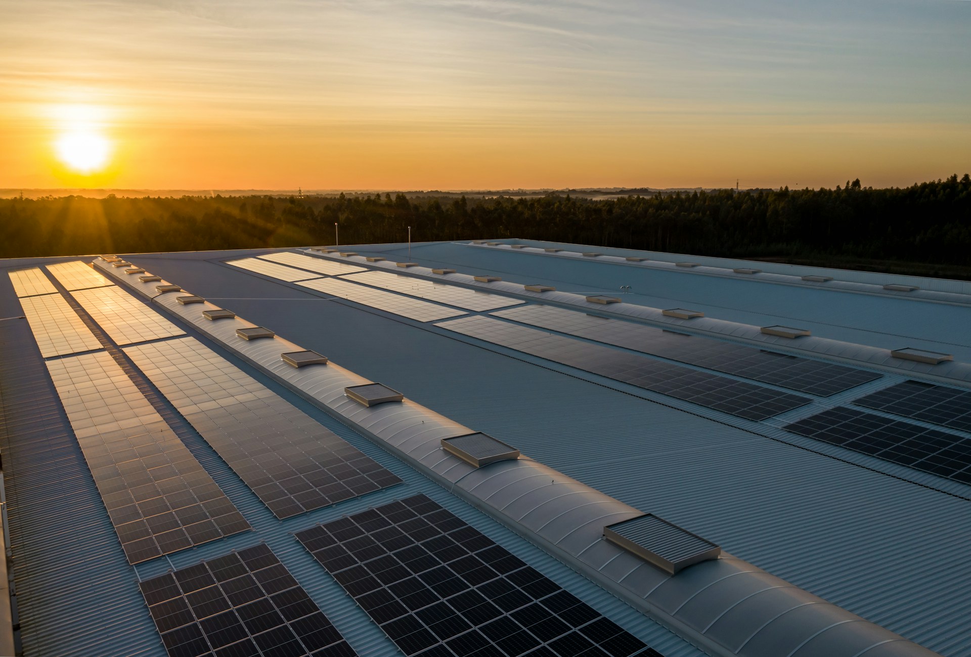 Paving the way for Net Zero housing with Octopus