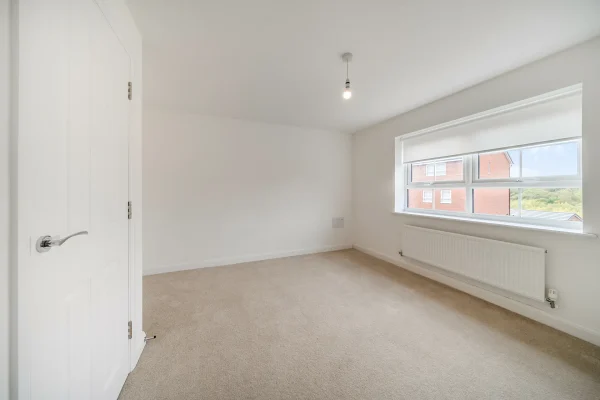 Saxon Rise 1359480 10 68f606006b462